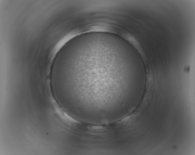 X0000112411427200908211110