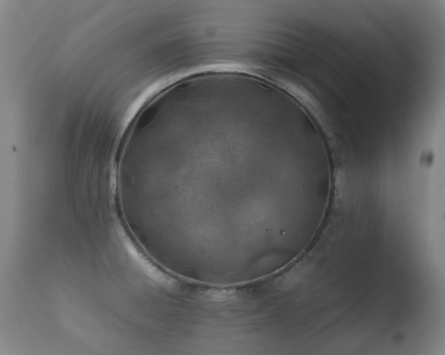 X0000112411428200908211111