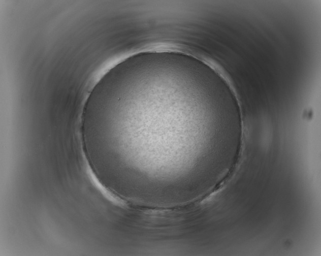 X0000112411429200908211111