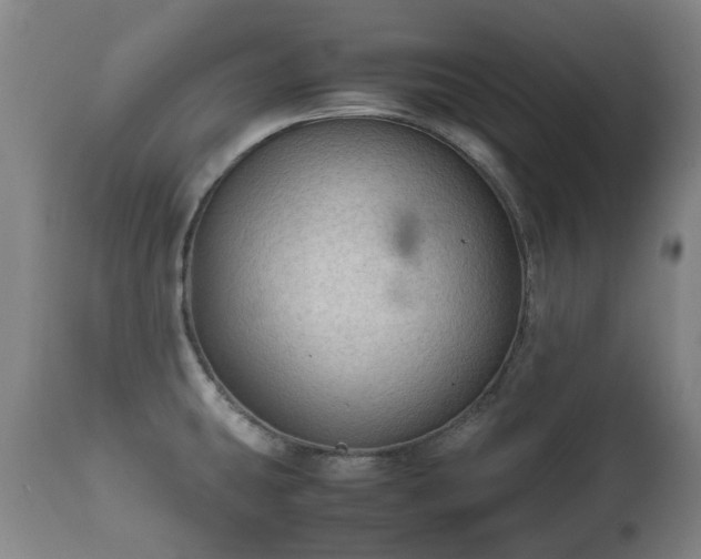 X0000112411431200908211111