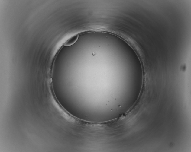 X0000112411432200908211111