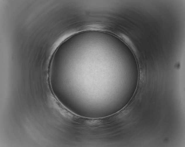 X0000112411435200908211111
