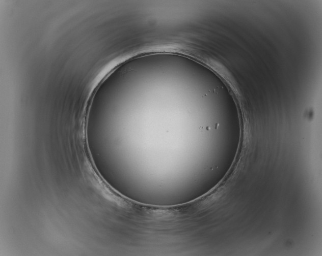 X0000112411436200908211111