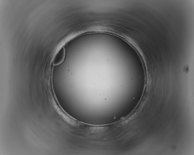 X0000112411437200908211111