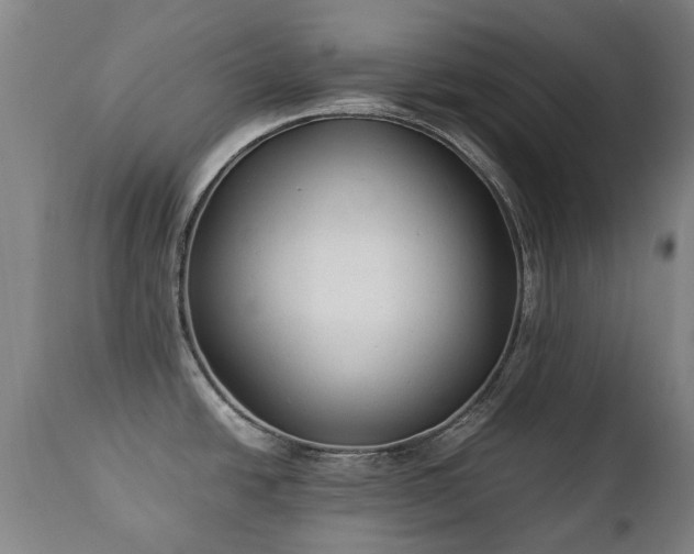 X0000112411438200908211111