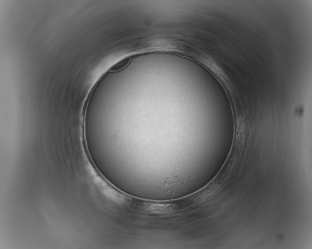 X0000112411439200908211111