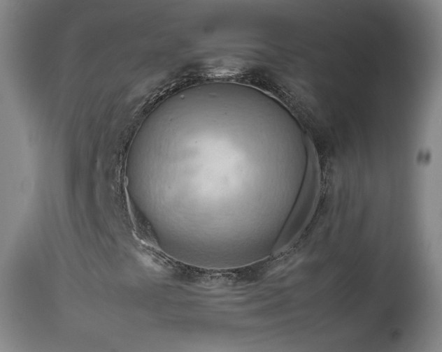 X0000112411441200908211110