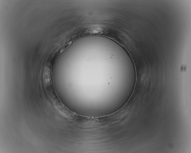 X0000112411442200908211110