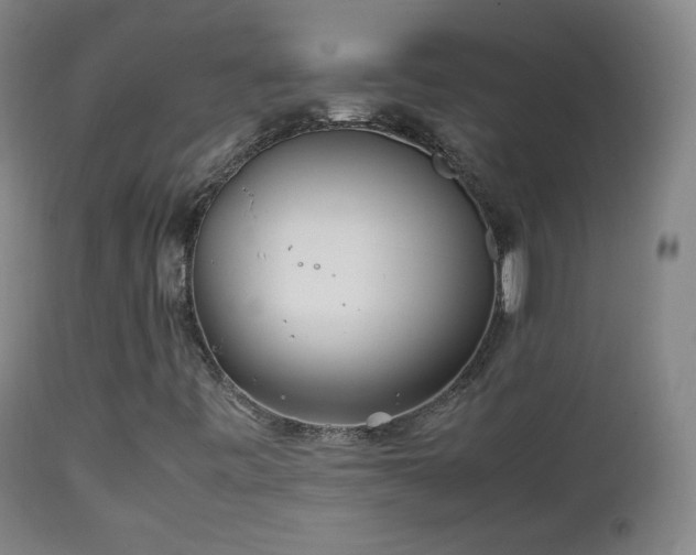 X0000112411443200908211110