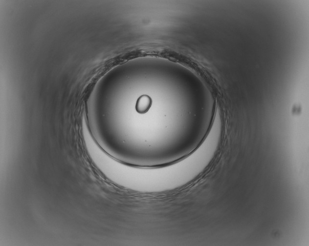 X0000112411445200908211110