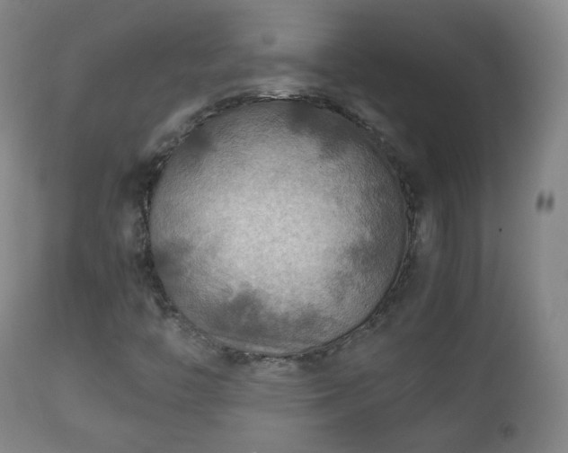 X0000112411446200908211110