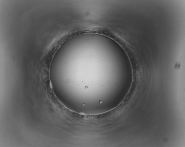 X0000112411447200908211110
