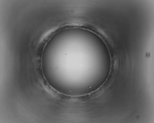 X0000112411448200908211110