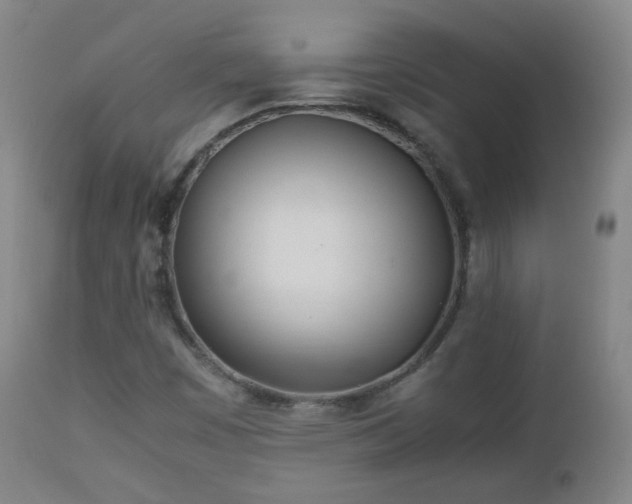 X0000112411449200908211110