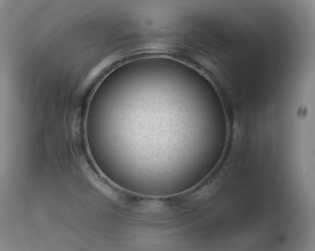 X0000112411450200908211110
