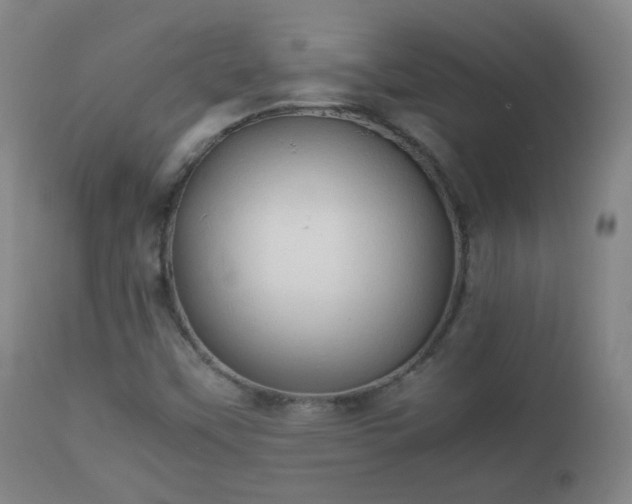 X0000112411451200908211110