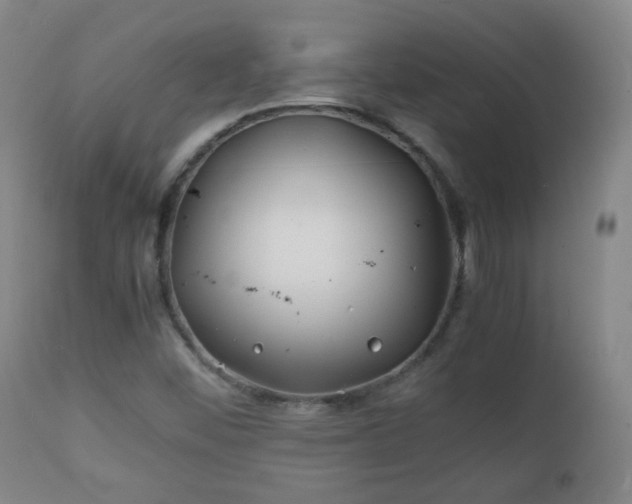 X0000112411452200908211110