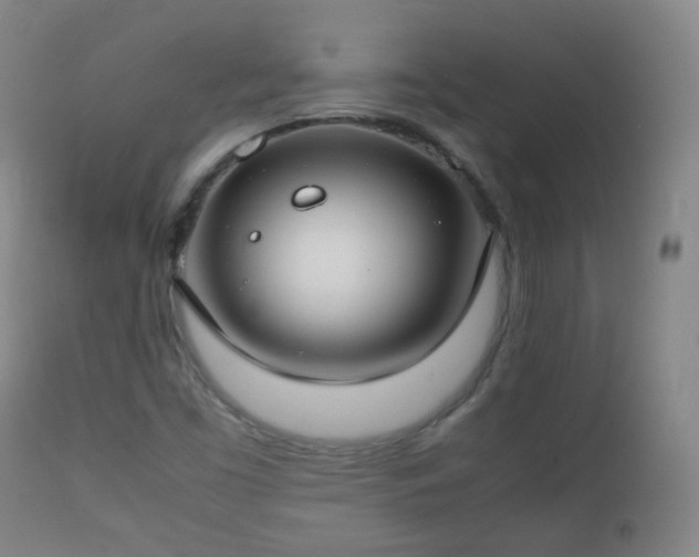 X0000112411453200908211110