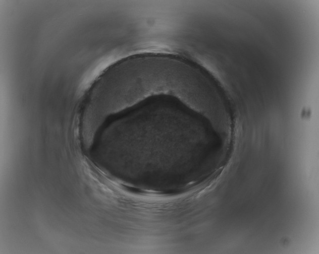 X0000112411455200908211110