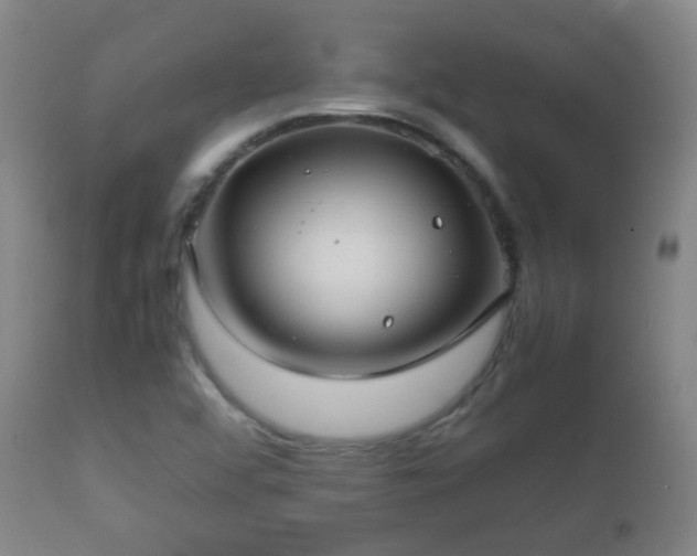 X0000112411456200908211110
