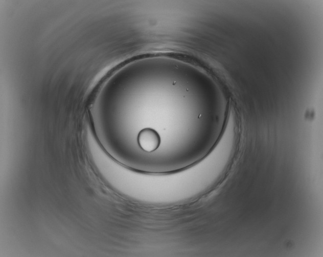 X0000112411457200908211110
