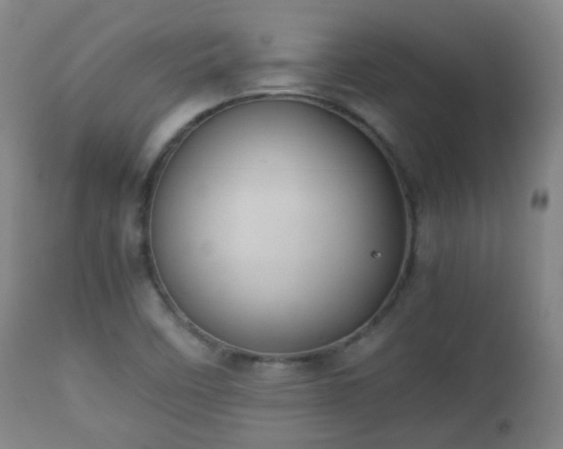 X0000112411458200908211110