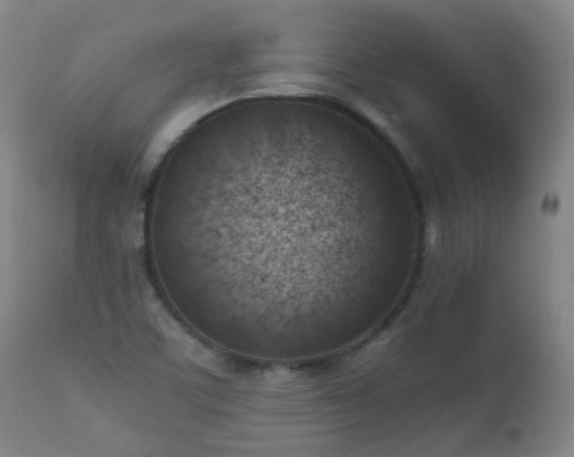 X0000112411459200908211110