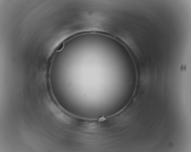 X0000112411460200908211110