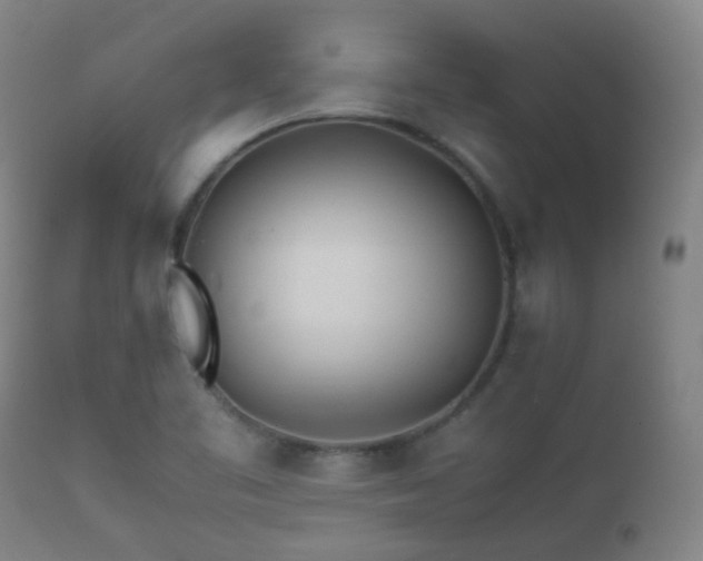 X0000112411461200908211110