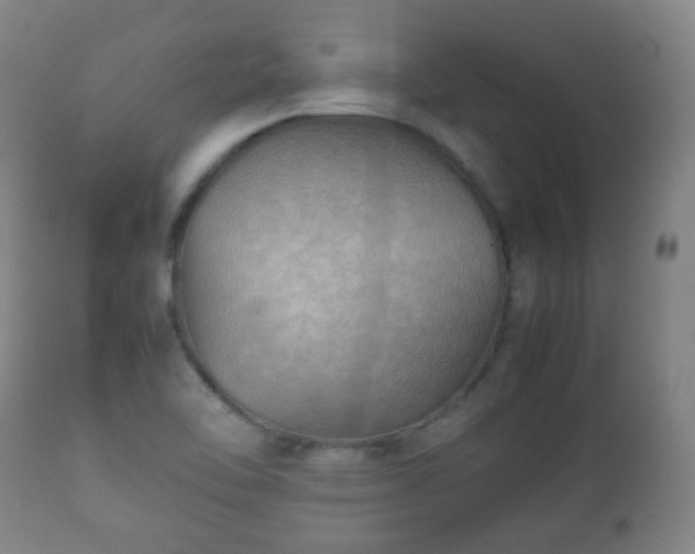 X0000112411462200908211110