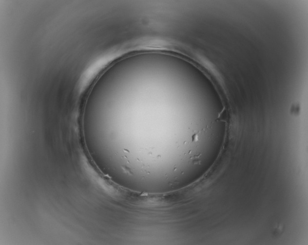 X0000112411464200908211110