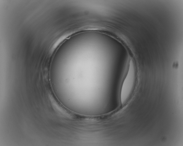 X0000112411465200908211110