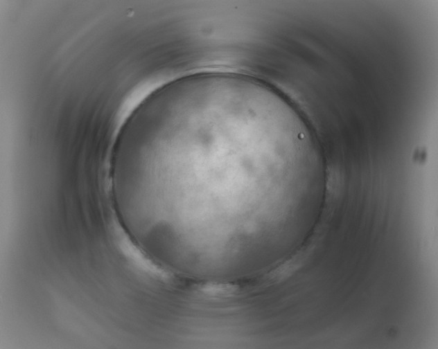 X0000112411466200908211110