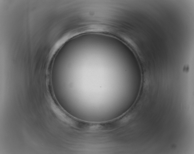 X0000112411467200908211110