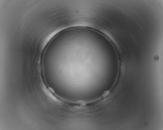 X0000112411468200908211110