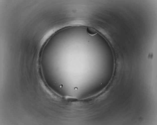 X0000112411469200908211110