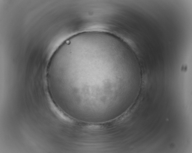 X0000112411470200908211110