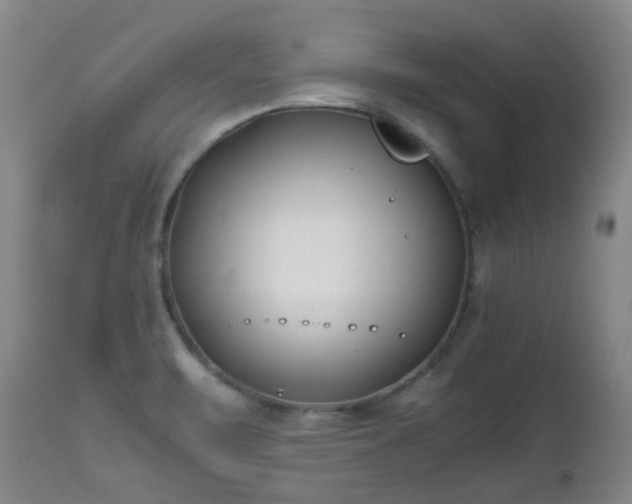 X0000112411471200908211110