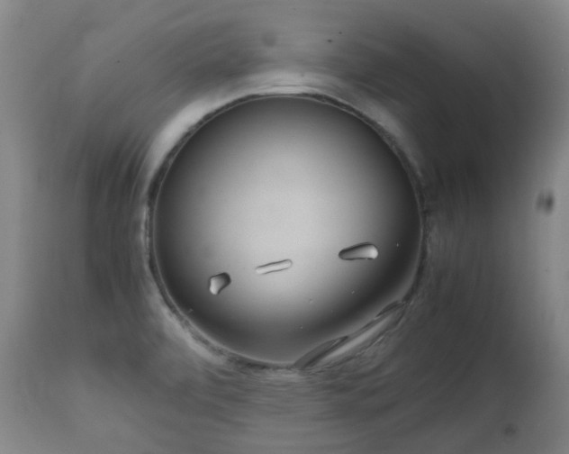 X0000112411472200908211110