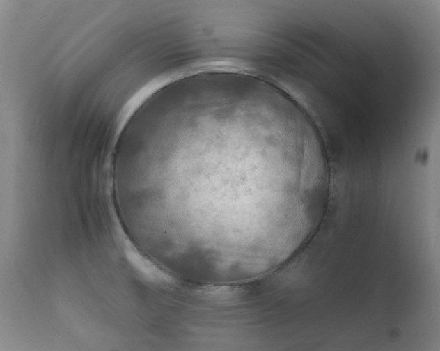 X0000112411474200908211110