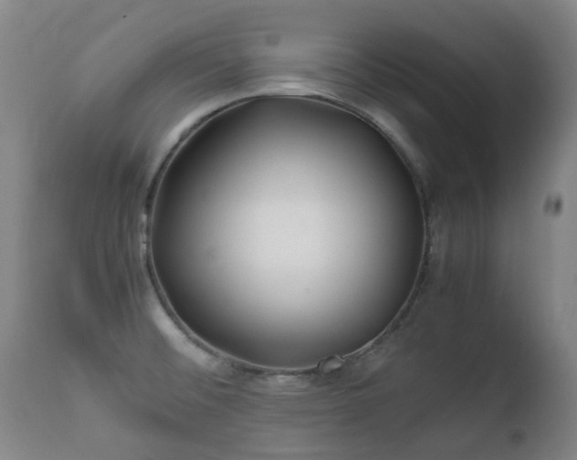 X0000112411476200908211110