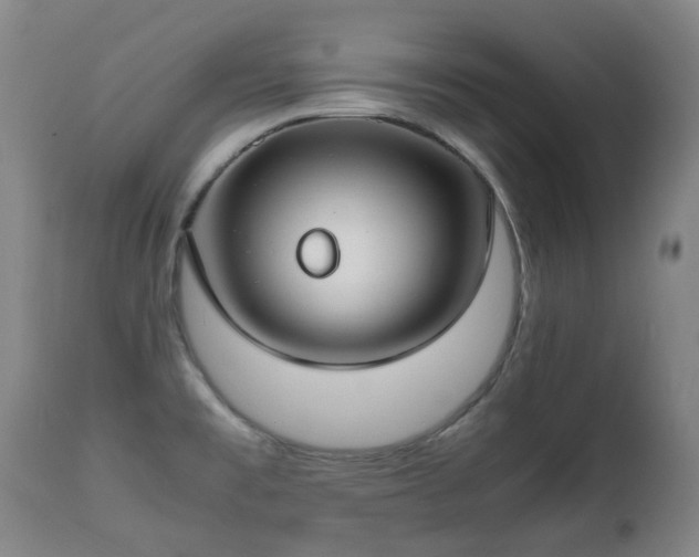 X0000112411477200908211109