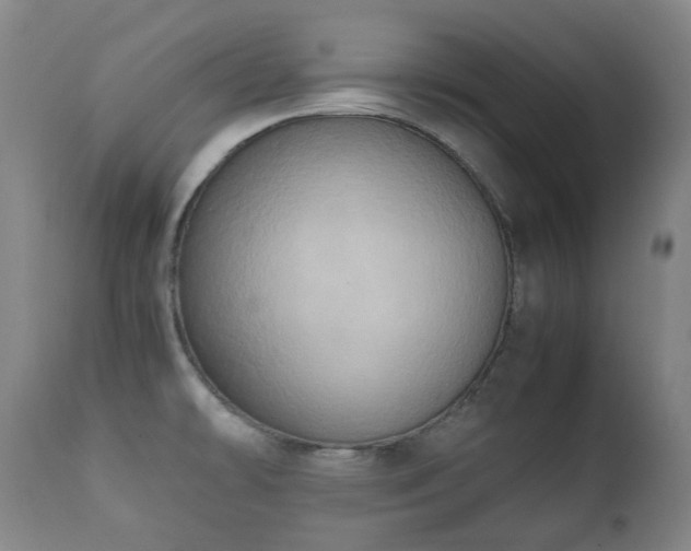 X0000112411478200908211109