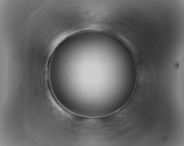 X0000112411479200908211109