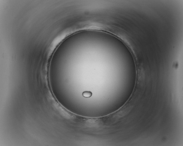 X0000112411480200908211109