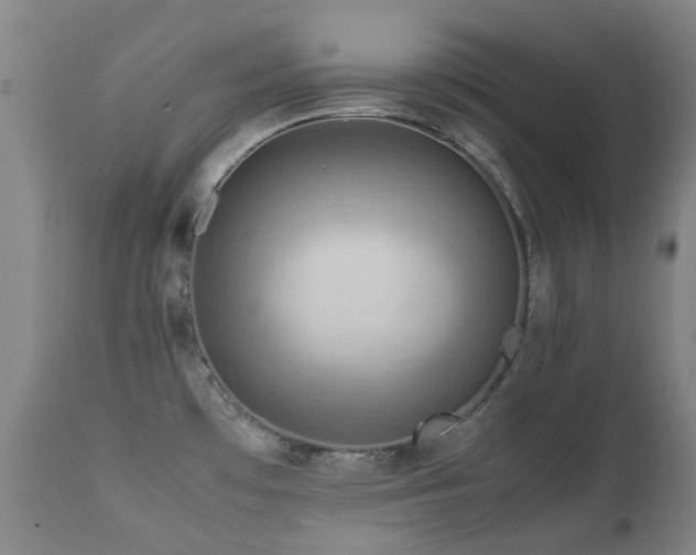 X0000112411481200908211109