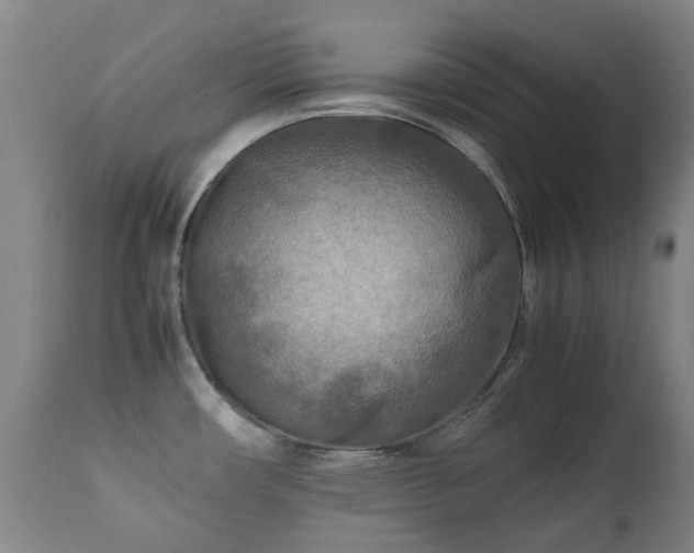 X0000112411482200908211109