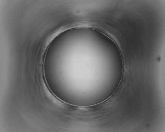 X0000112411483200908211109