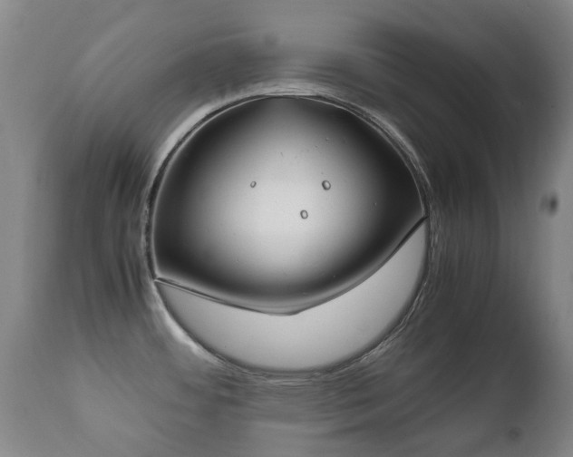 X0000112411484200908211109