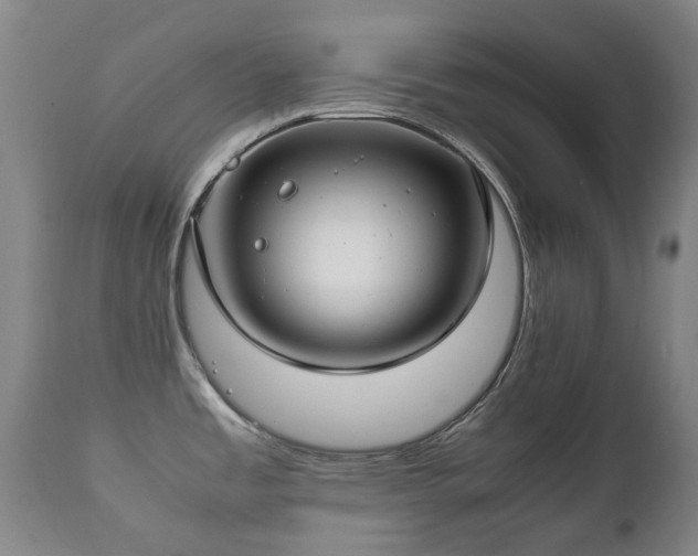 X0000112411485200908211109